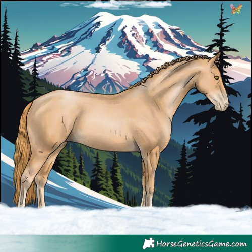 Horse Color:Chestnut Pearl
