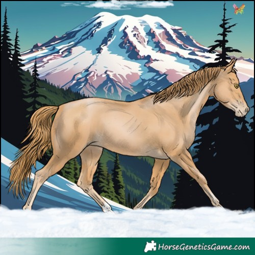 Horse Color:Chestnut Pearl 