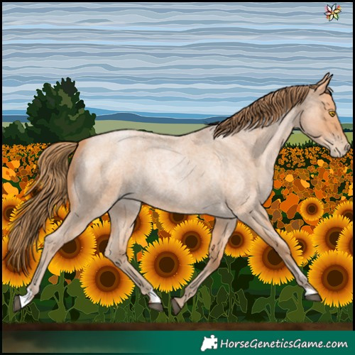 Horse Color:Bay Roan Pearl 