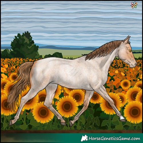 Horse Color:Bay Roan Pearl 
