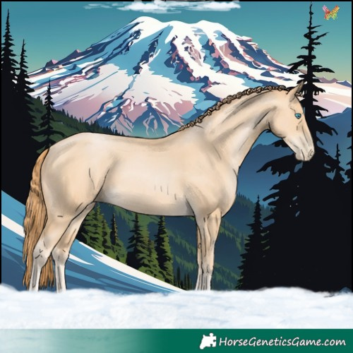 Horse Color:Buckskin Pearl