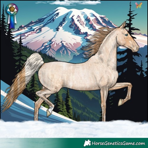Horse Color:Palomino Pearl and Bay Roan Pearl