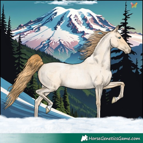 Horse Color:Buckskin Roan Pearl 