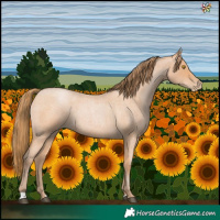 Horse Color:Bay Roan Pearl 