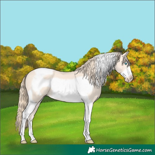 Horse Color:Perlino Tobiano Frame 