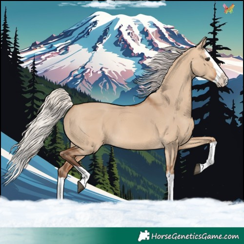 Horse Color:Silver Bay Dun Splash 
