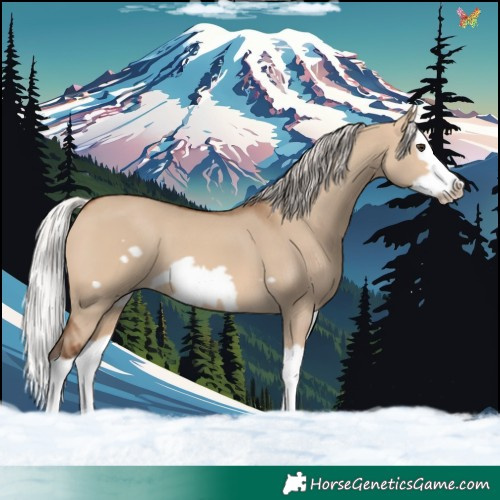 Horse Color:Silver Brown Dun Splash Frame 