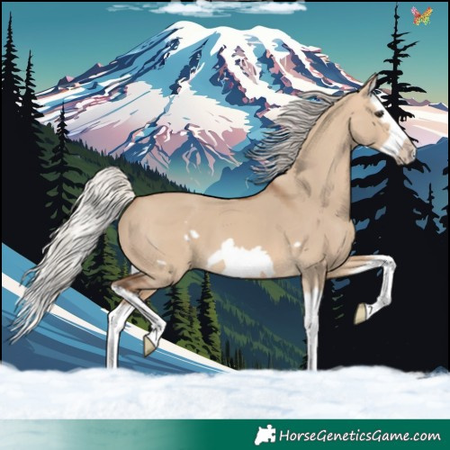 Horse Color:Silver Brown Dun Splash Frame 