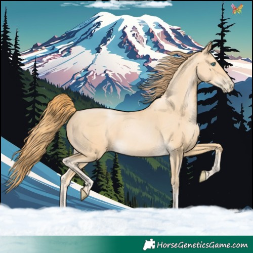 Horse Color:Buckskin Pearl