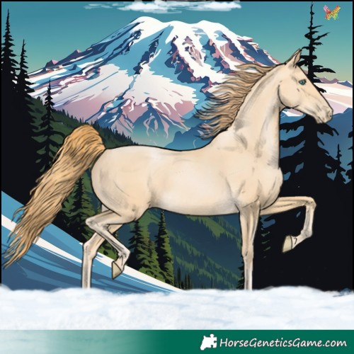 Horse Color:Buckskin Pearl 