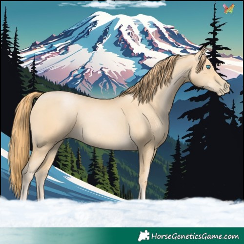 Horse Color:Buckskin Pearl 