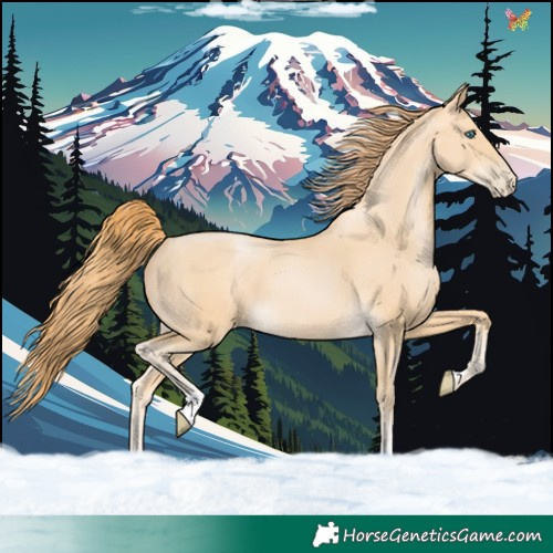 Horse Color:Buckskin Pearl
