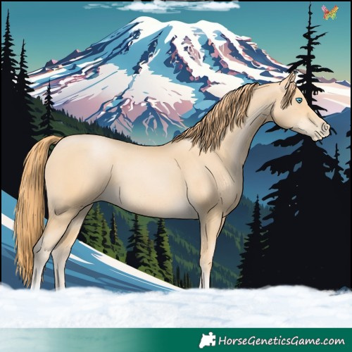 Horse Color:Buckskin Pearl