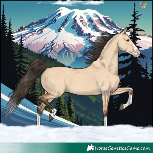 Horse Color:Bay Dun Splash