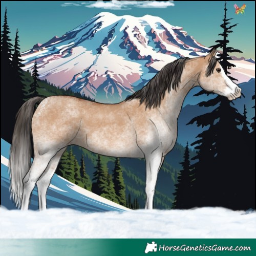 Horse Color:White Spotted Bay Dun Splash 
