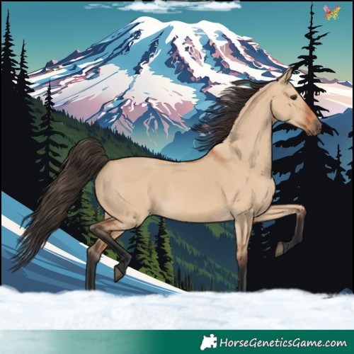 Horse Color:Bay Dun