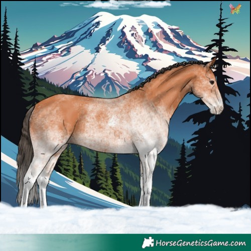 Horse Color:White Spotted Bay 