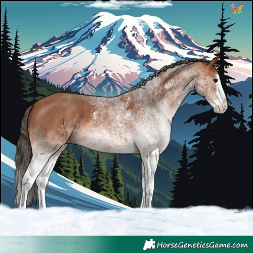 Horse Color:White Spotted Bay Splash 