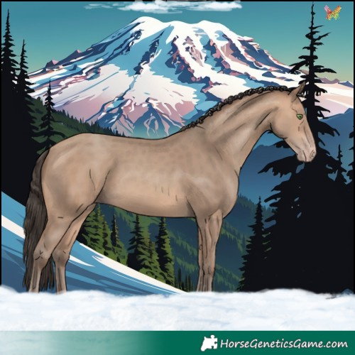 Horse Color:Amber Champagne 