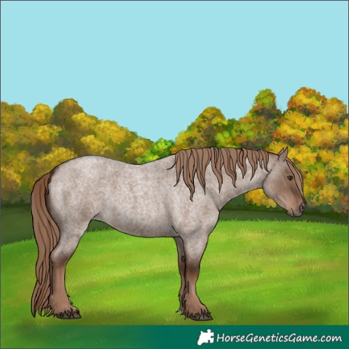 Horse Color:Liver Red Dun Roan Rabicano 