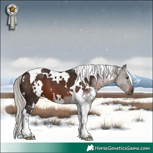 Horse Color:White Spotted Silver Brown Tobiano 