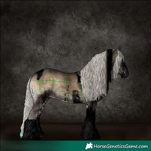 Horse Color:Void Plaid  White Spotted Silver Brown Onyx Tobiano 