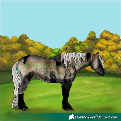 Horse Color:Void Plaid  White Spotted Silver Brown Onyx Tobiano 