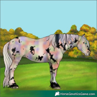 Horse Color:Void Nacre White Spotted Chocolate Palomino Pearl 