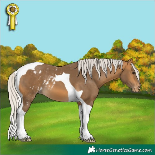 Horse Color:Silver Buckskin Tobiano Skewed LP Spotted 