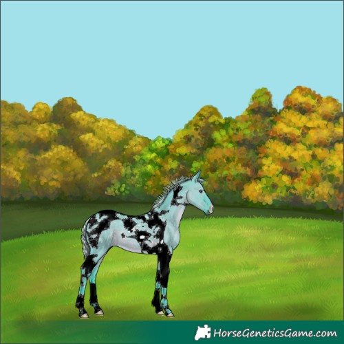 Horse Color:Watercolor Silver Grullo Chinchilla Tobiano 