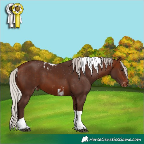 Horse Color:Silver Brown Tobiano Skewed LP Spotted 
