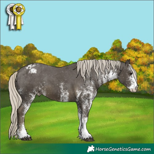 Horse Color:White Spotted Silver Smoky Black Varnish 