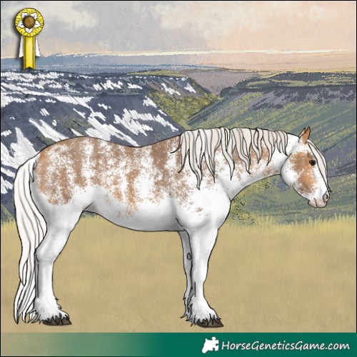 Horse Color:White Spotted Silver Buckskin Skewed LP Spotted 