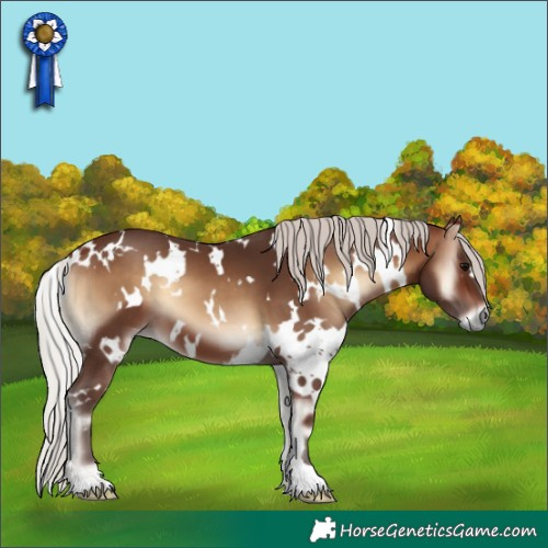 Horse Color:White Spotted Silver Brown Onyx 