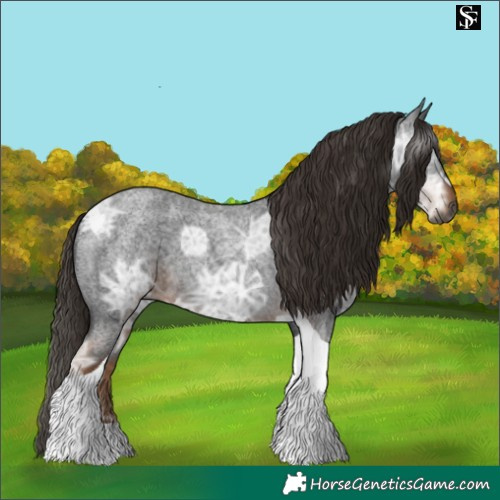 Horse Color:Gray Liver Red Ice Roan Tobiano 