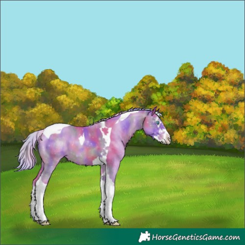 Horse Color:Nacre Watercolor Silver Sable Champagne Sabino Splash Tobiano 