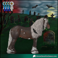 Horse Color:White Spotted Silver Brown Tobiano