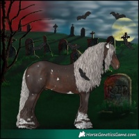 Horse Color:White Spotted Silver Brown Tobiano
