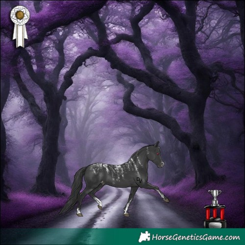 Horse Color:Powder White Black Appaloosa 