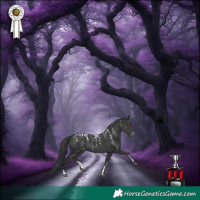 Horse Color:Powder White Black Appaloosa 