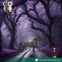 Horse Color:Powder White Black Varnish 