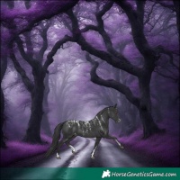 Horse Color:Powder White Black Appaloosa 