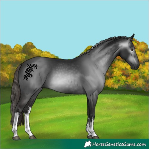 Horse Color:Gray White Spotted Liver Chestnut 