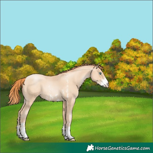 Horse Color:Sable Champagne Pearl Sabino