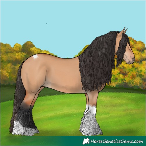 Horse Color:Bay Dun Tobiano 