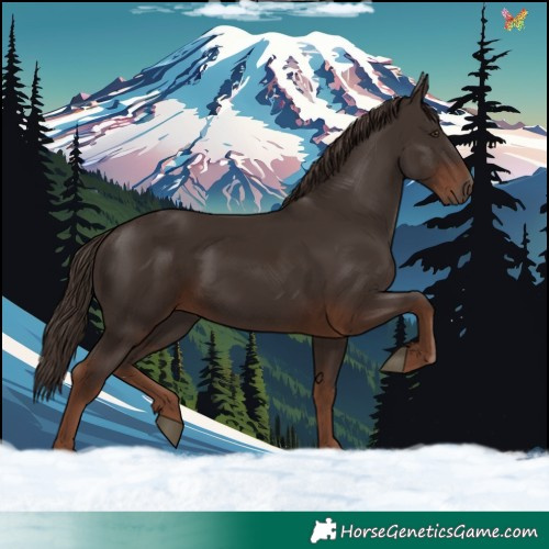 Horse Color:White Spotted Liver Chestnut 