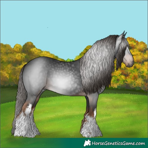 Horse Color:Gray White Spotted Liver Chestnut 