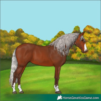 Horse Color:Silver Brown