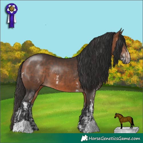 Horse Color:Bay Sabino and Brown