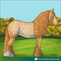 Horse Color:Watercolor Liver Chestnut Ice Appaloosa